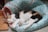 A calico cat is comfortably sleeping in a cushioned blue bed, which is adorned with colorful owl patterns. The bed is placed on a wooden surface with a small pink interior lining visible on the bed's side.