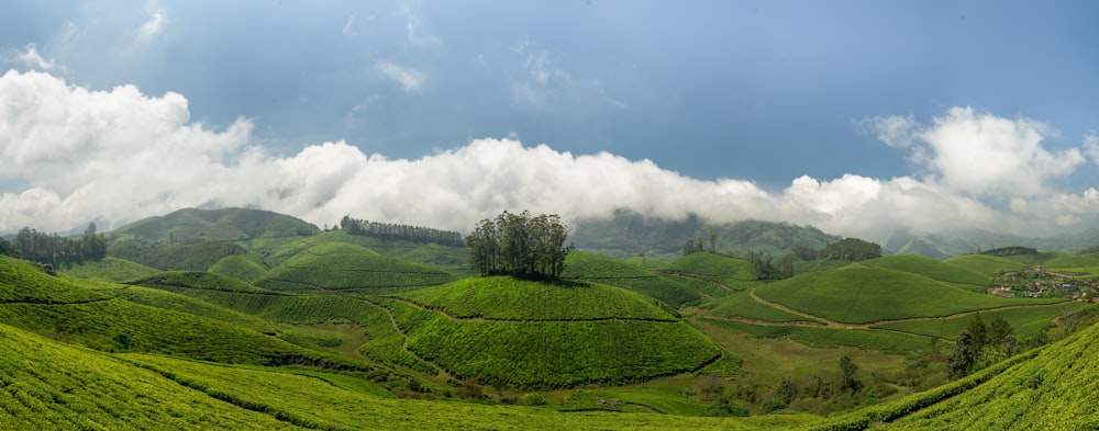 a lush green hillside covered in lush green grass