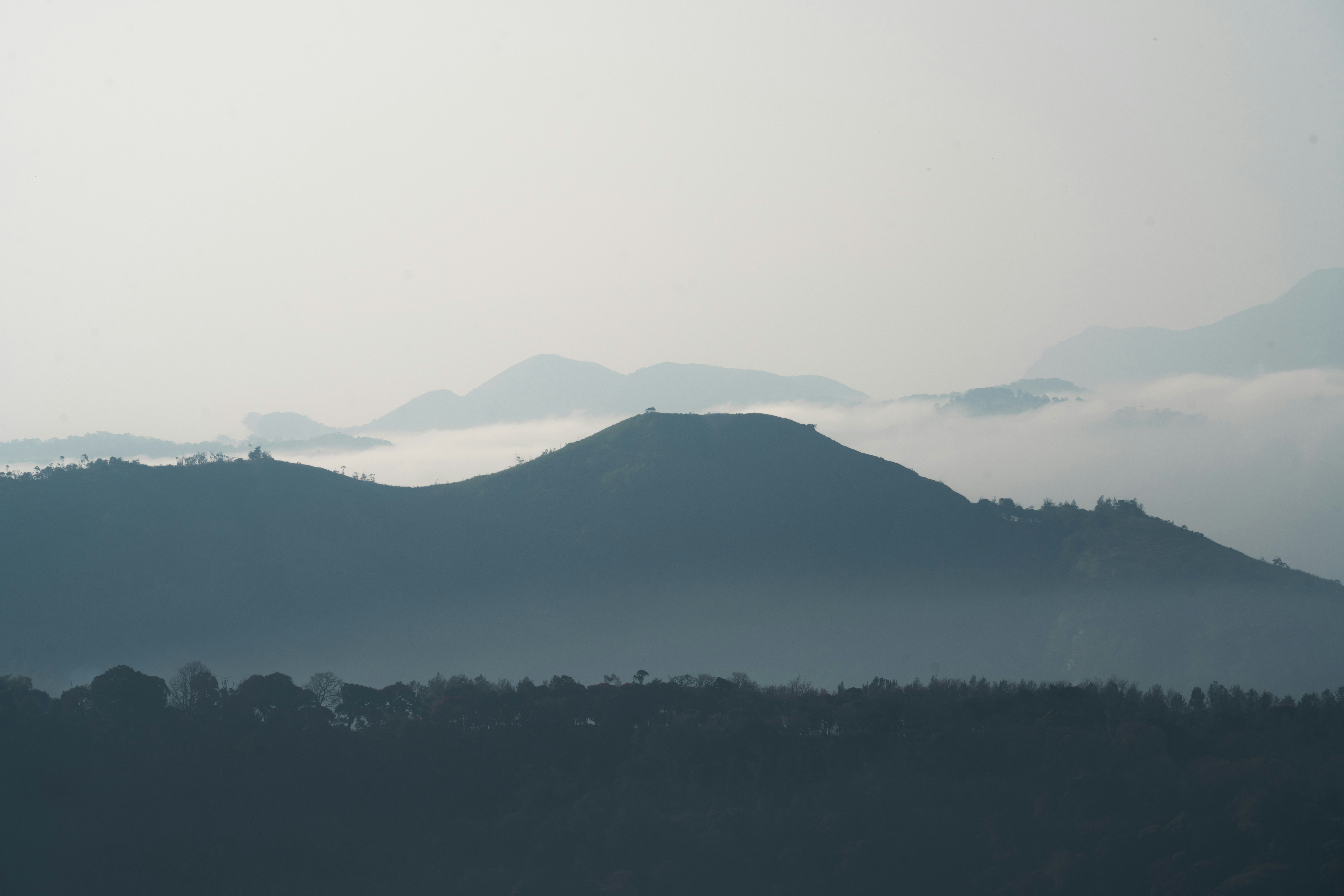 Photo by meemoome_productions