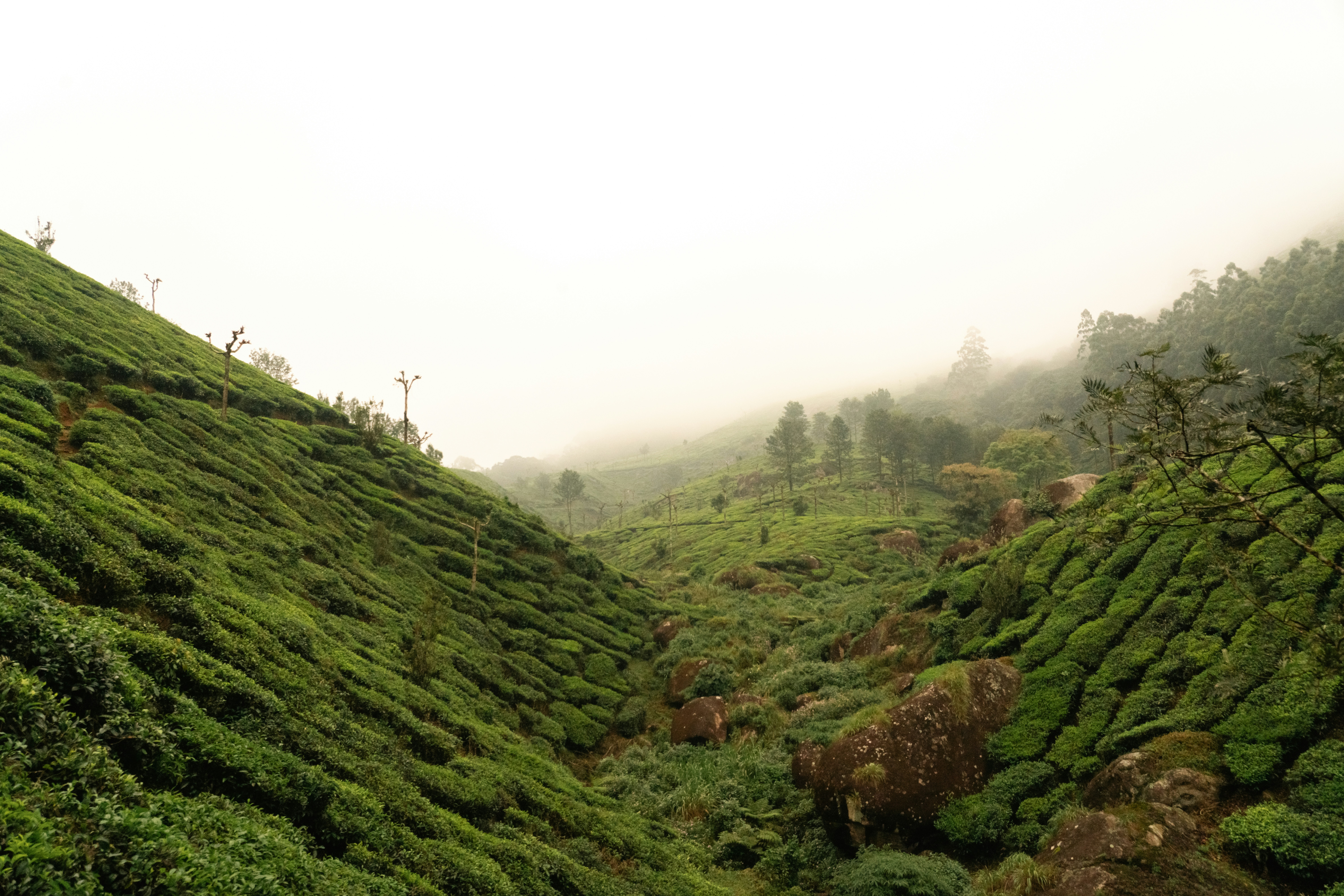 Photo by meemoome_productions