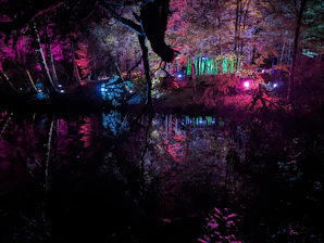 A colorful forest filled with glowing musical notes floating among the trees at twilight.