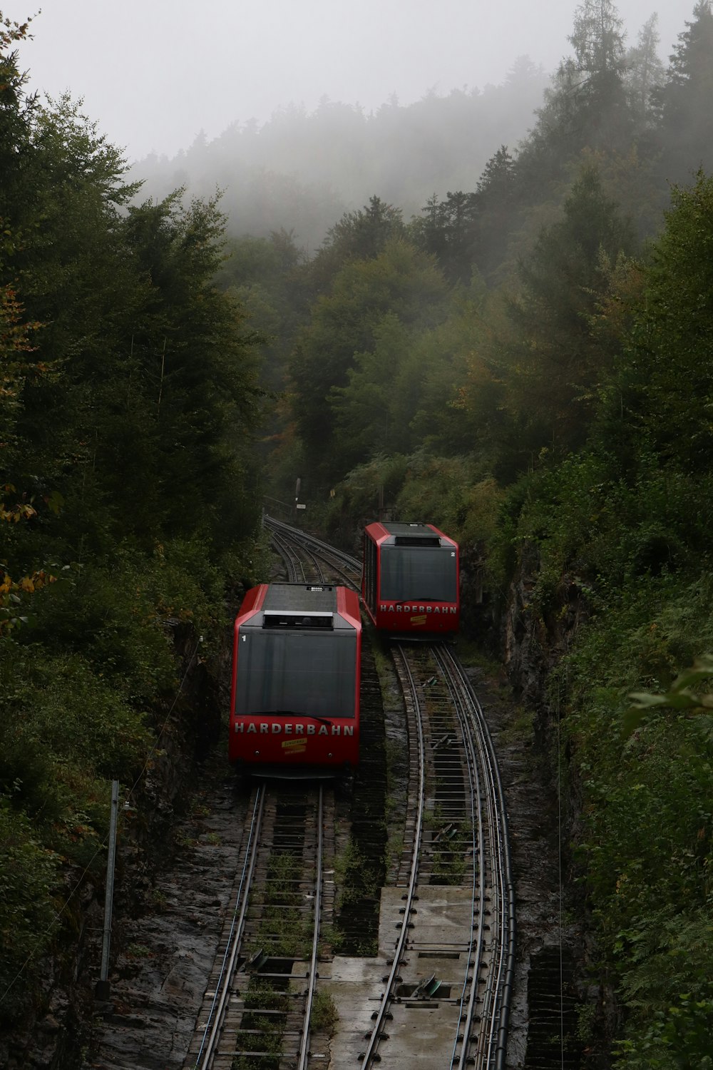 a couple of red trains traveling down train tracks