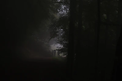 Dark, foggy forest scene with shadowy figures and eerie lighting.