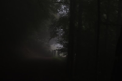 A misty forest at night with shadowy figures lurking between the trees.