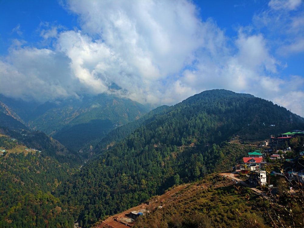 a scenic view of a valley with a mountain in the background