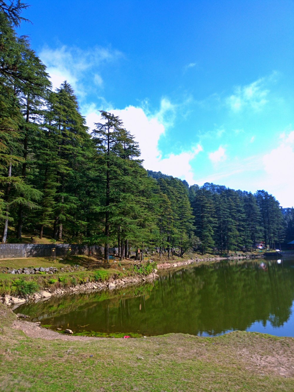 a body of water surrounded by trees on a sunny day