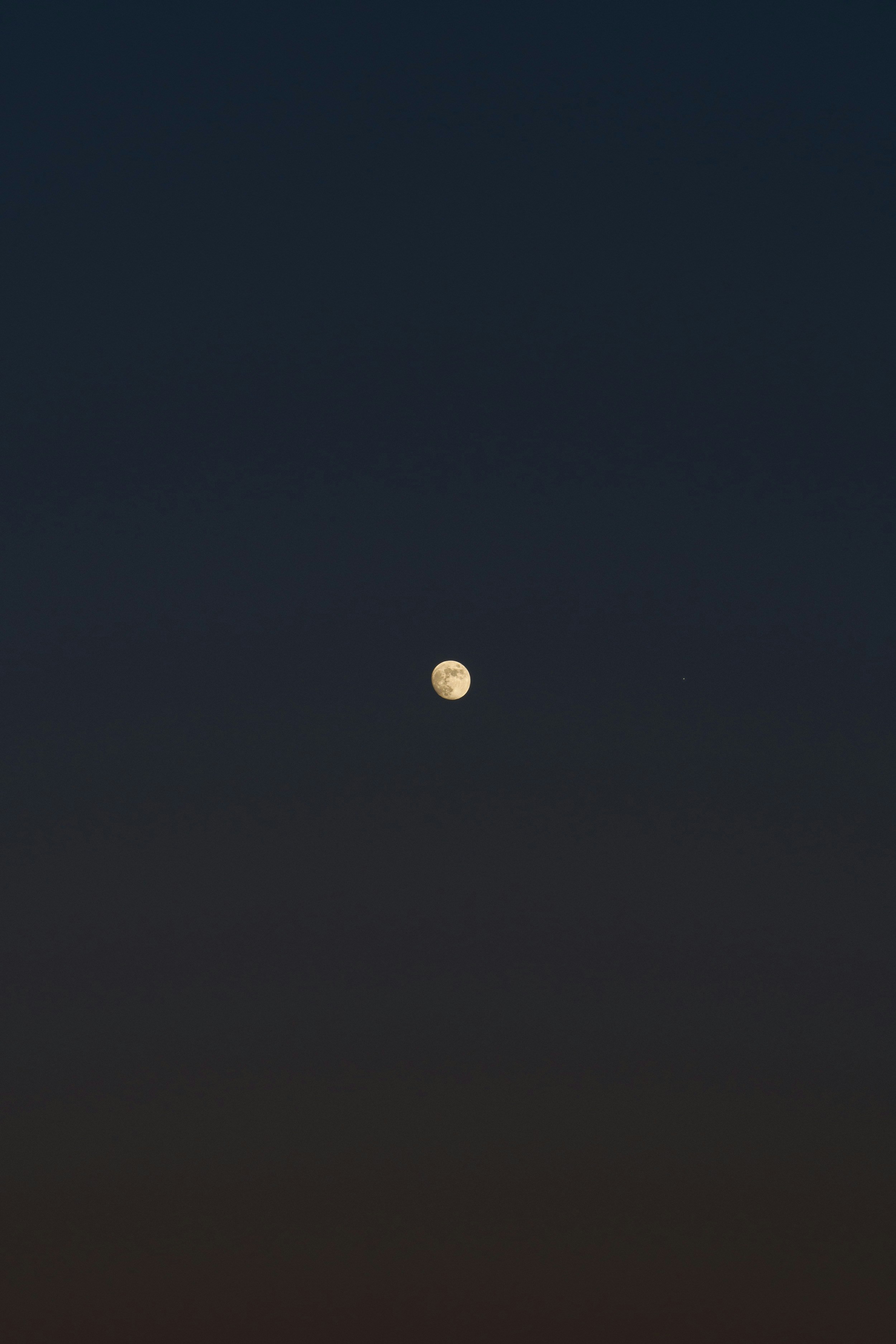 Photo by s_ahmadreza_p