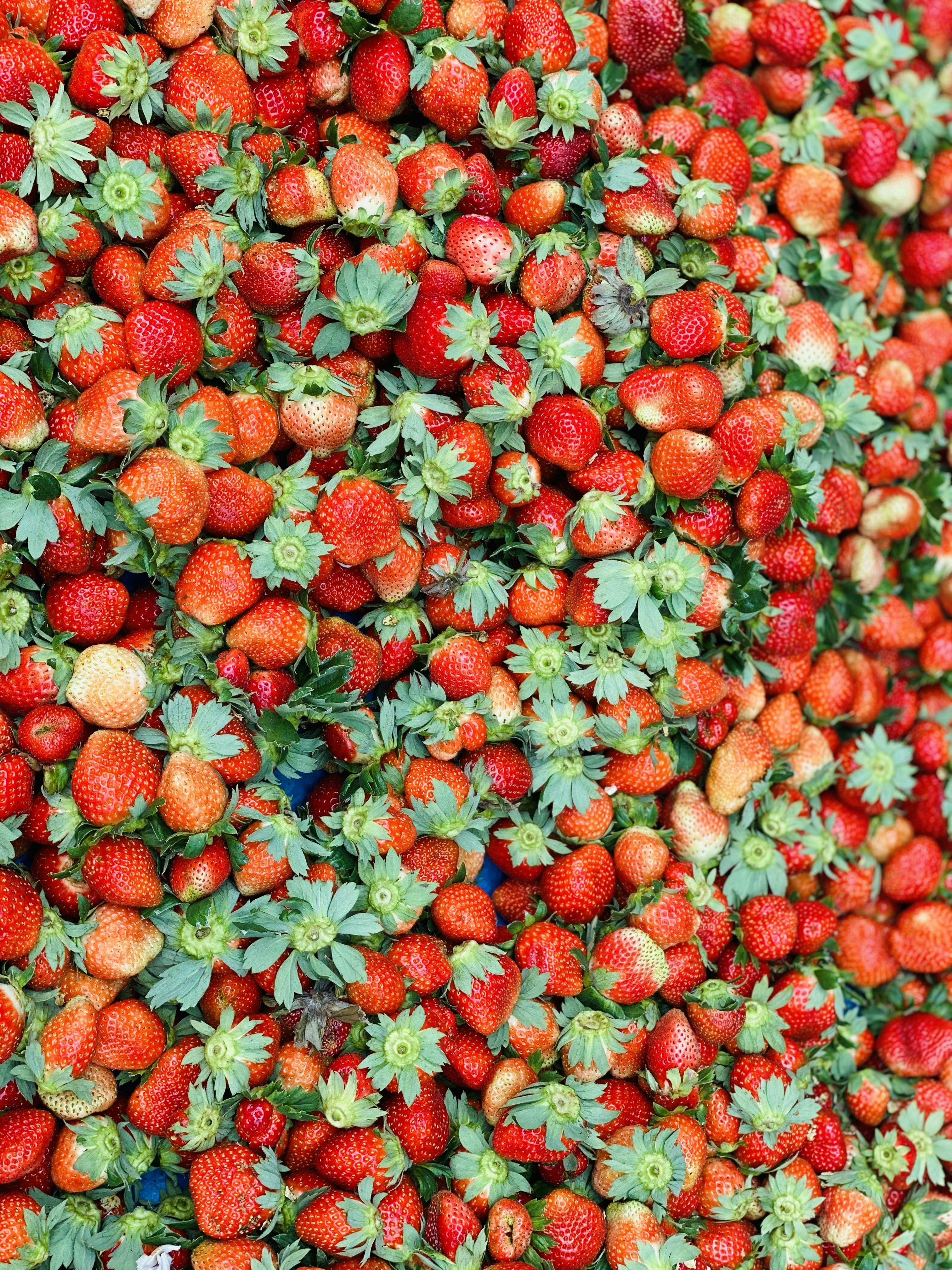 A large amount of strawberries are piled together photo Free