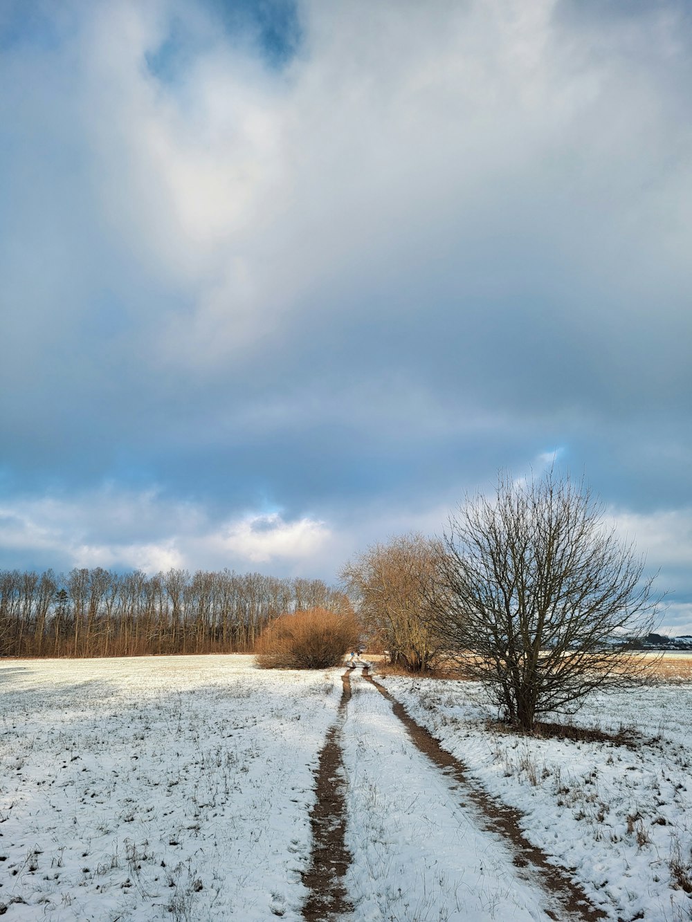 a snow covered field with trees and a path