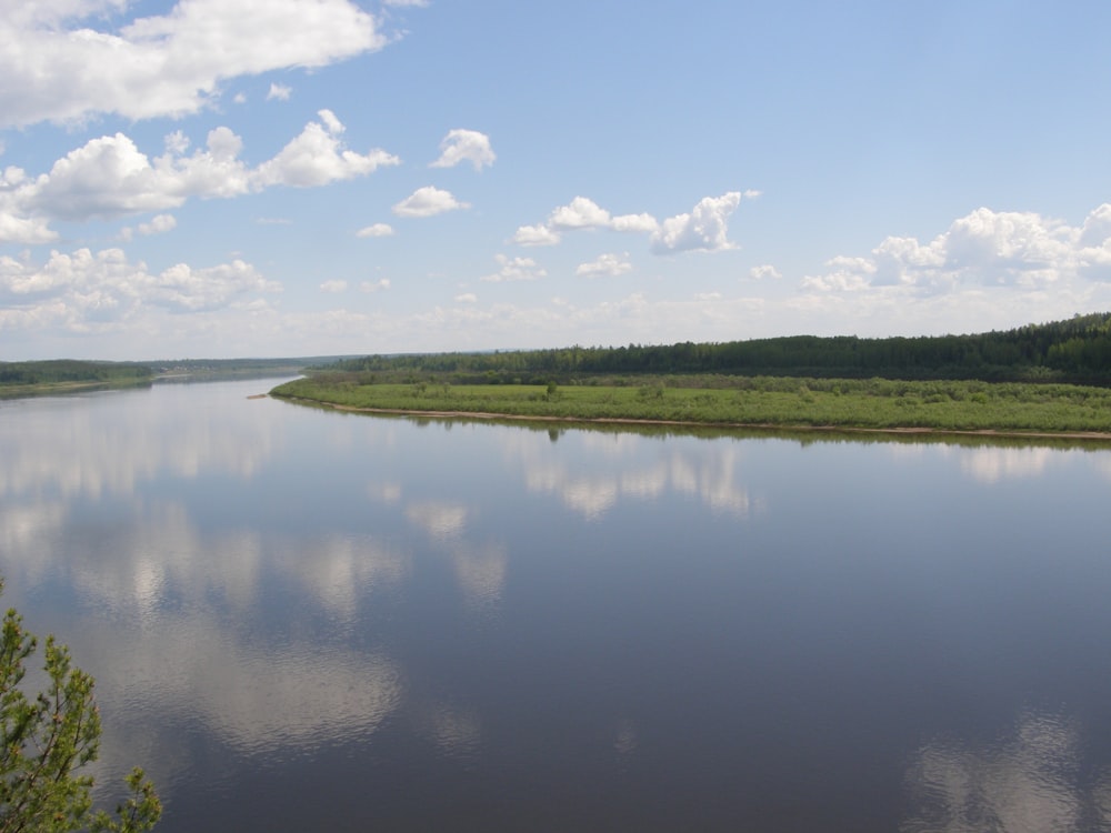 a large body of water surrounded by a forest