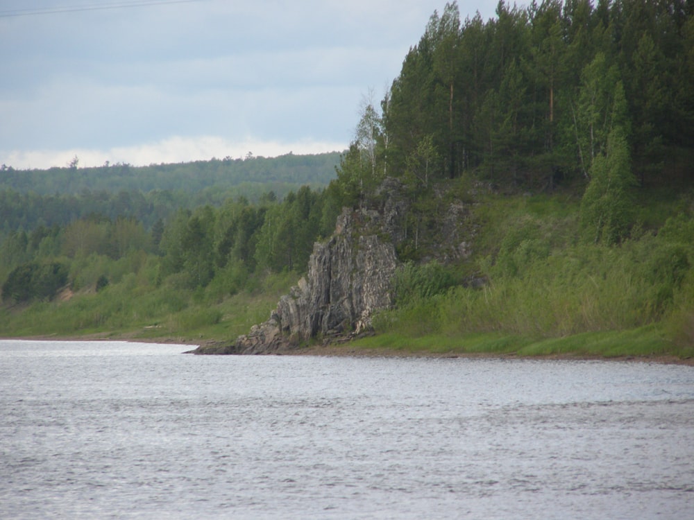 a large body of water surrounded by a forest