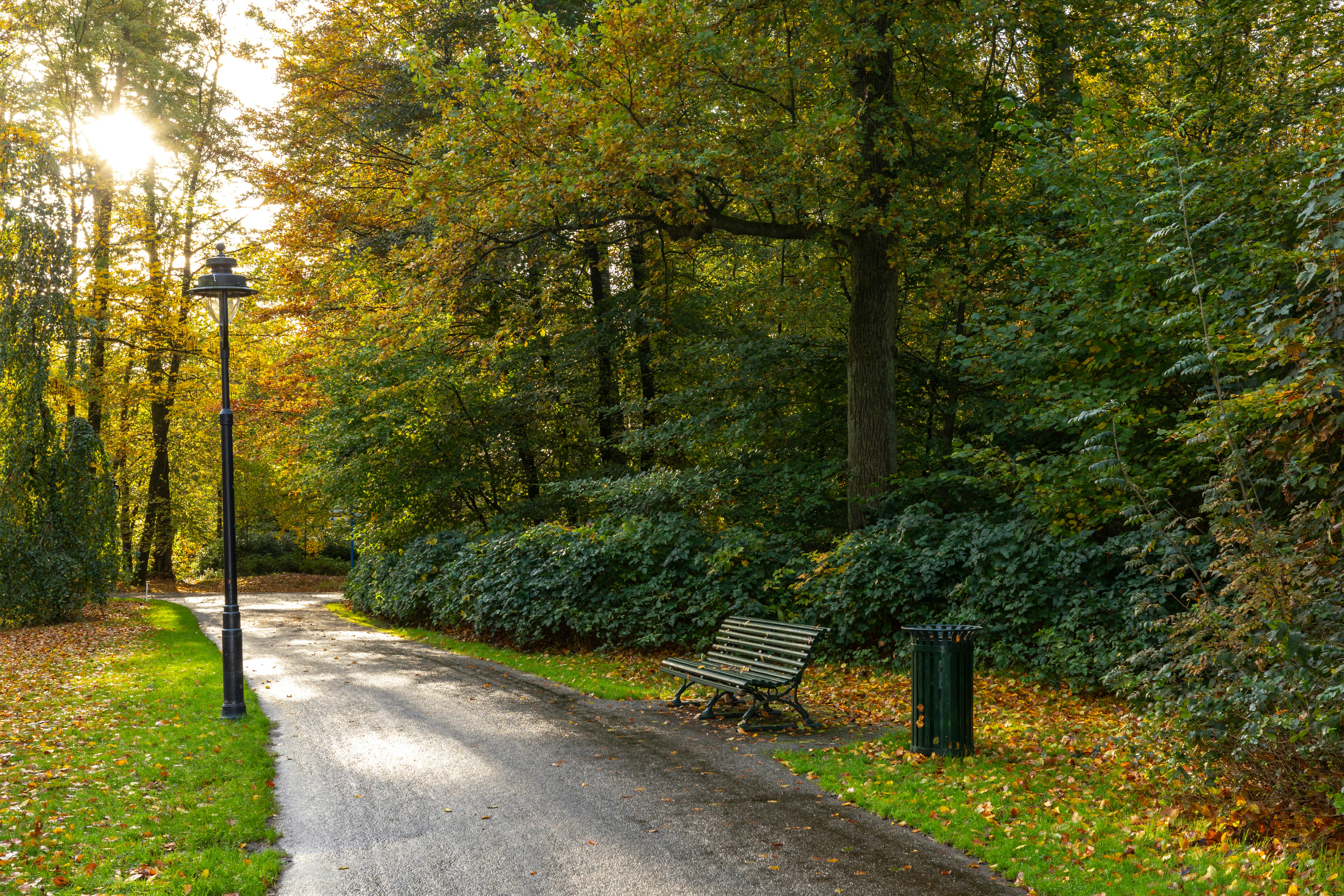 Photo by martijnbaudoin