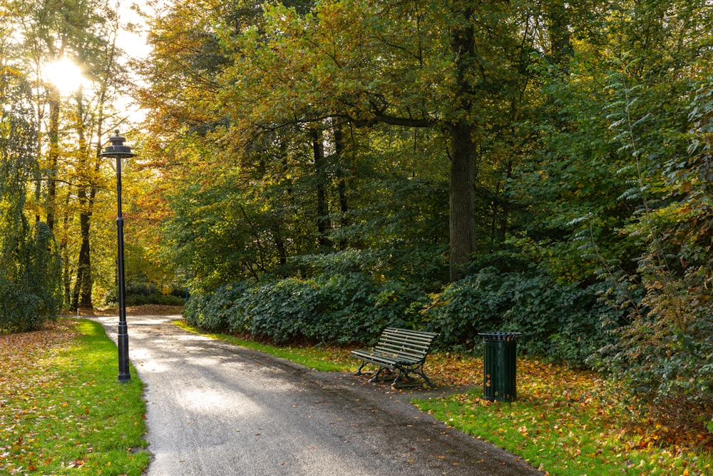 a park bench sitting on the side of a road