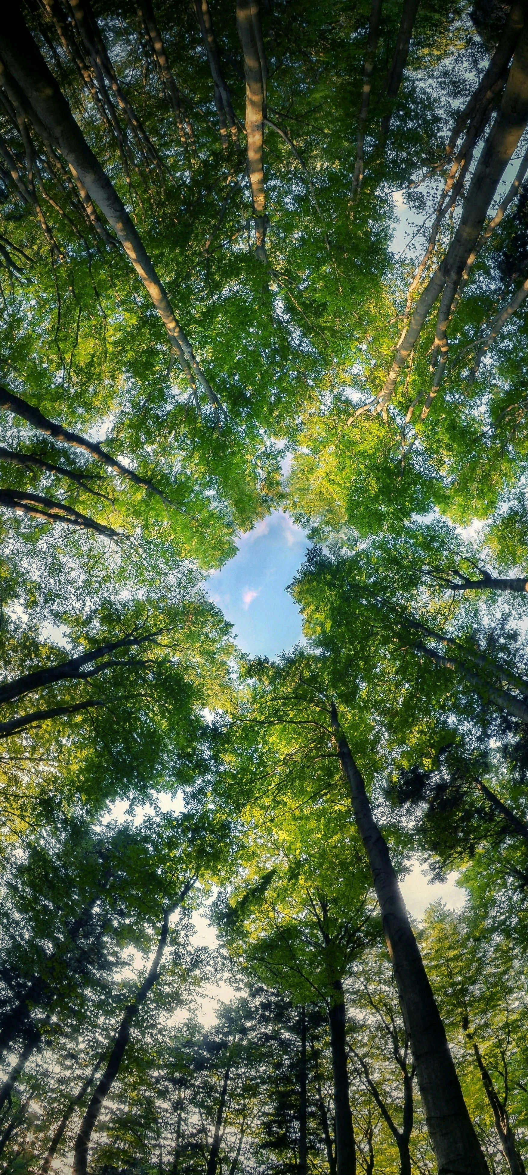 Photo by goodpicturesuz