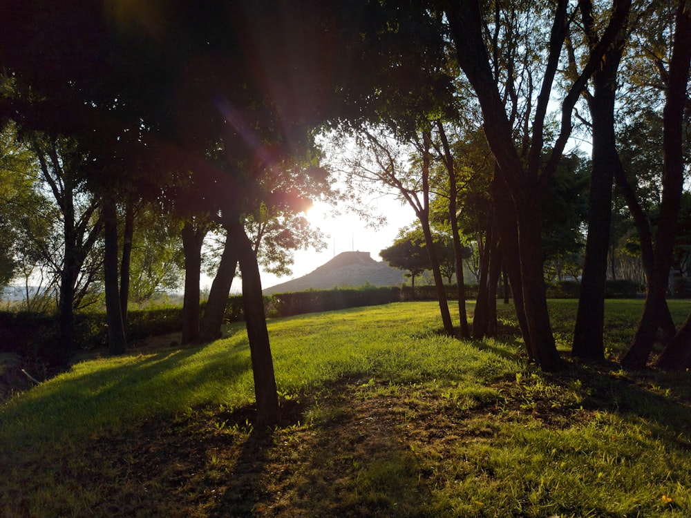 the sun is shining through the trees in the park