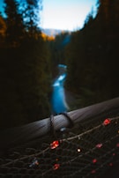 Close-up of electric fence wiring glowing subtly in evening light for perimeter security