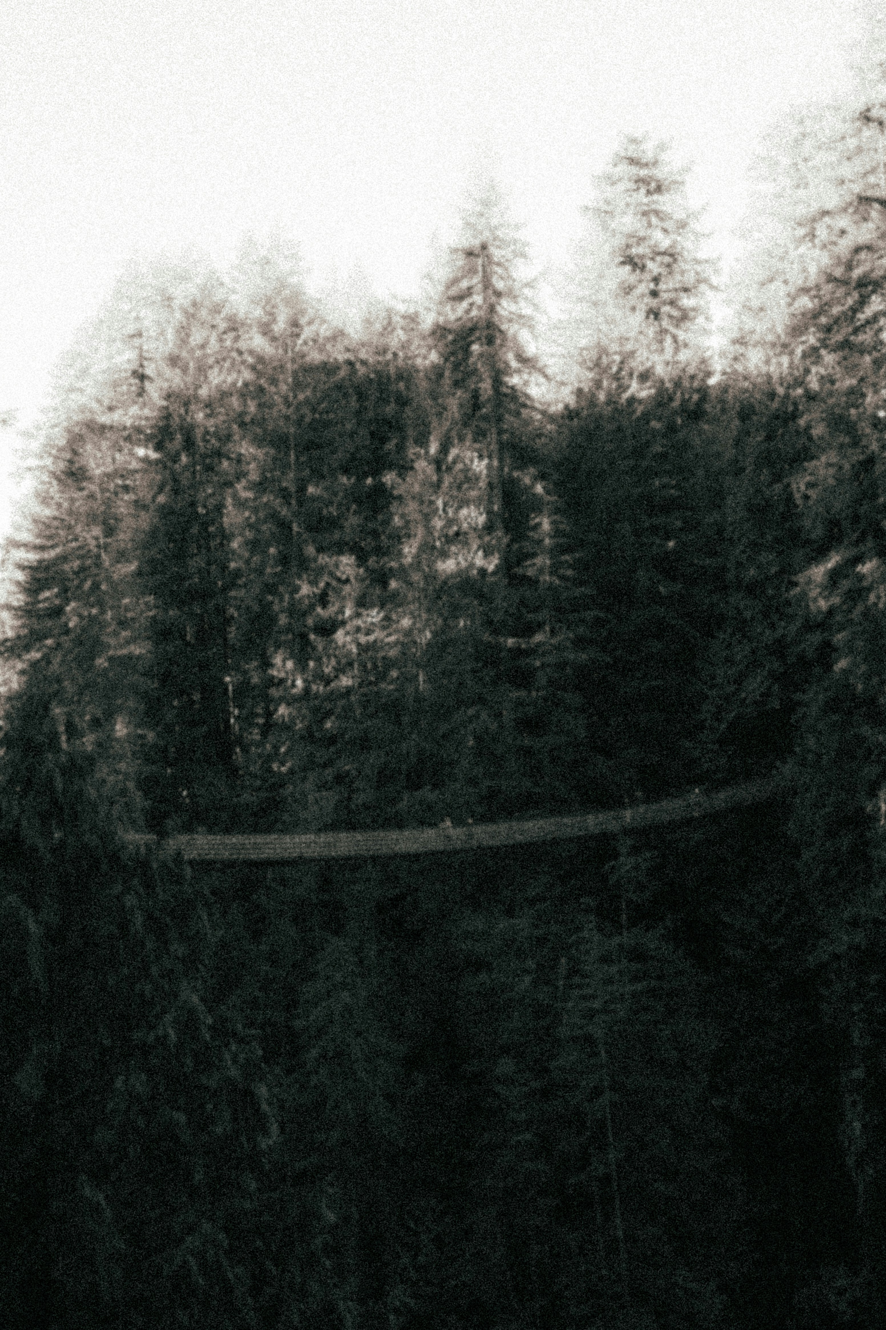 Photo by bylukemiller