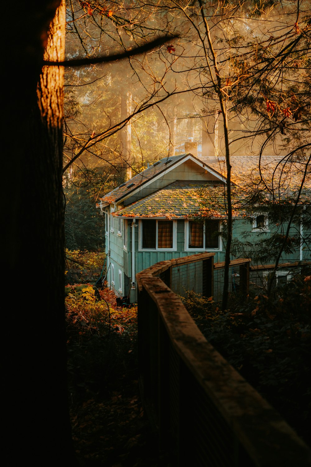 a small blue house in the woods