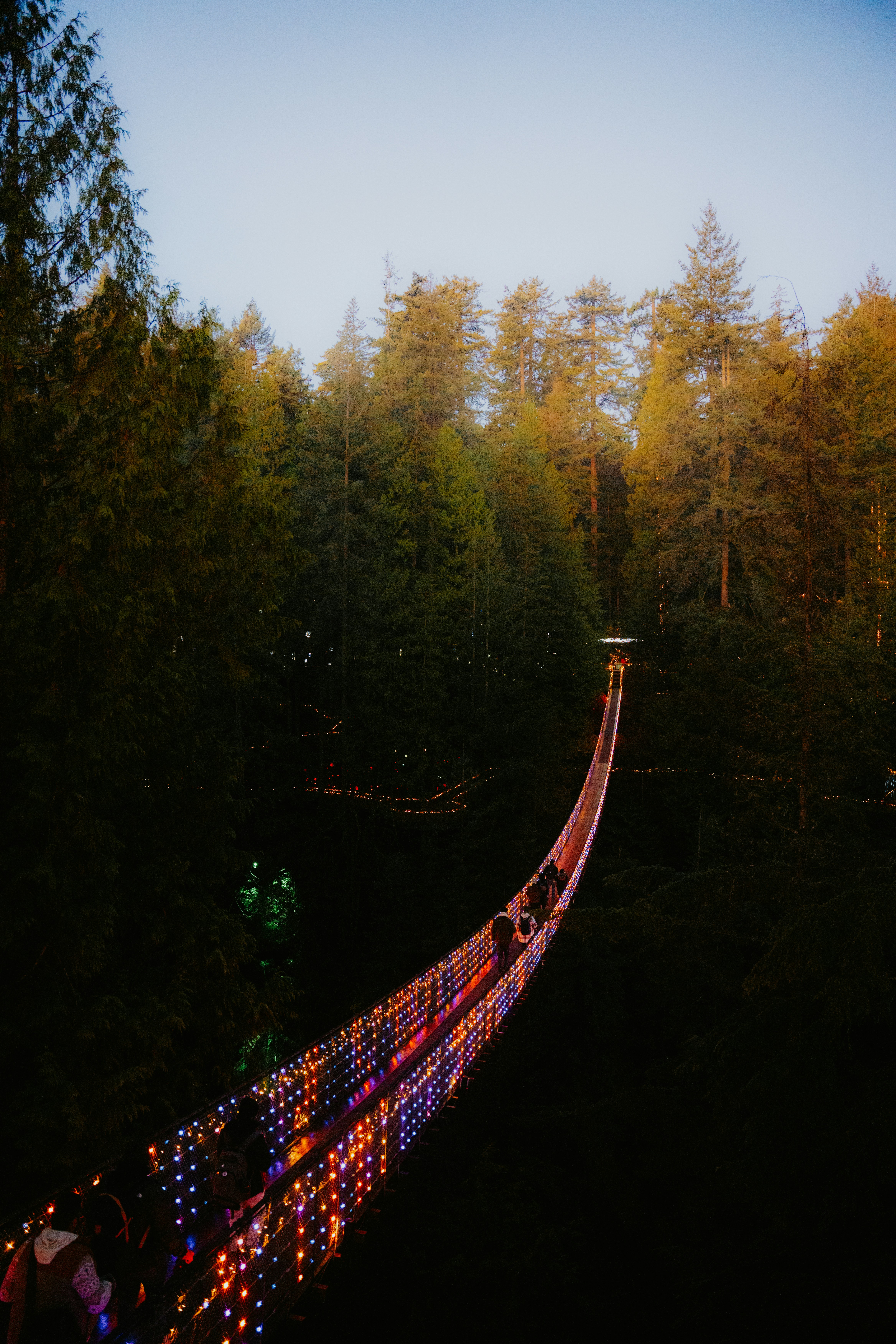 Photo by bylukemiller