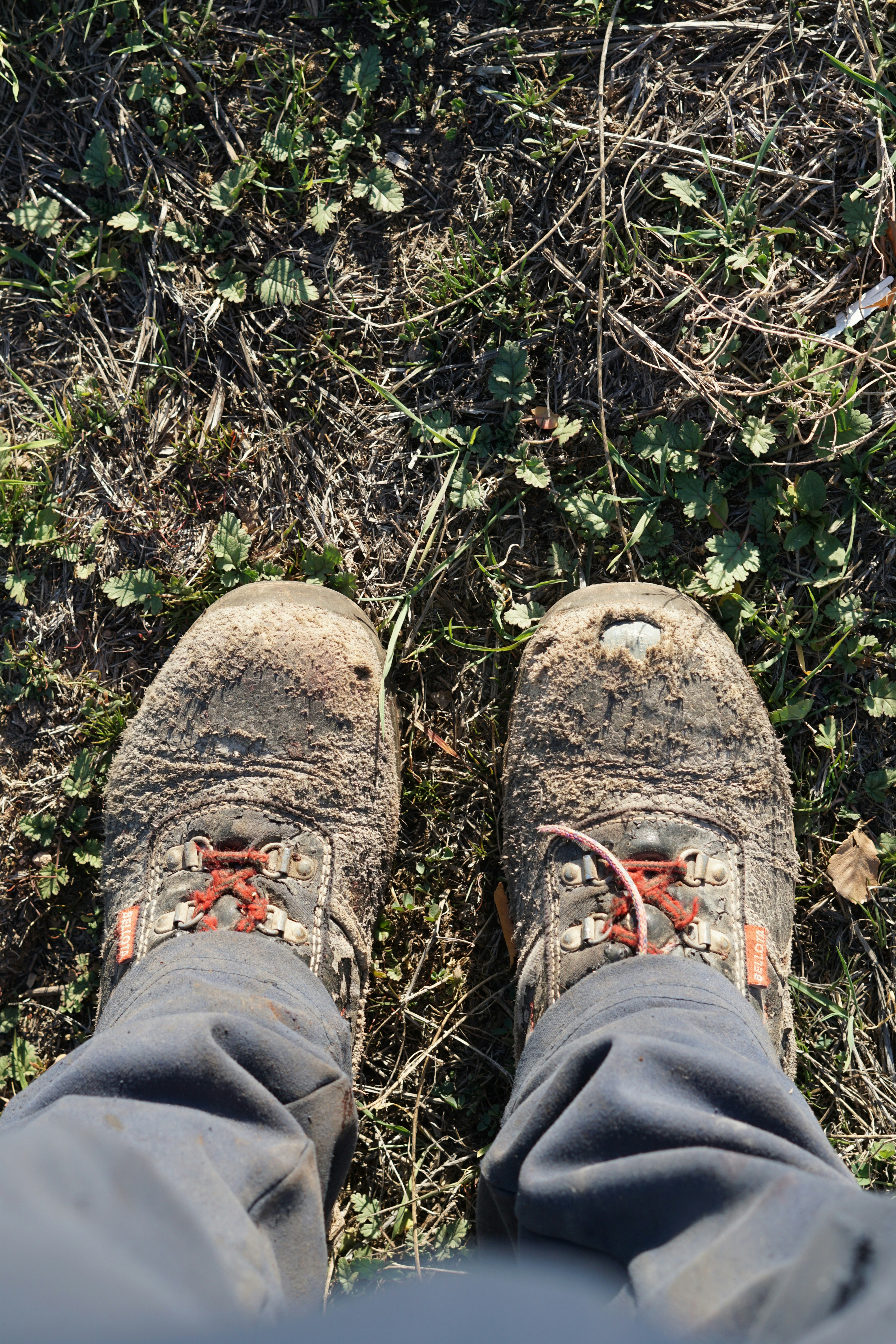 Trailblazer Hiking Boots