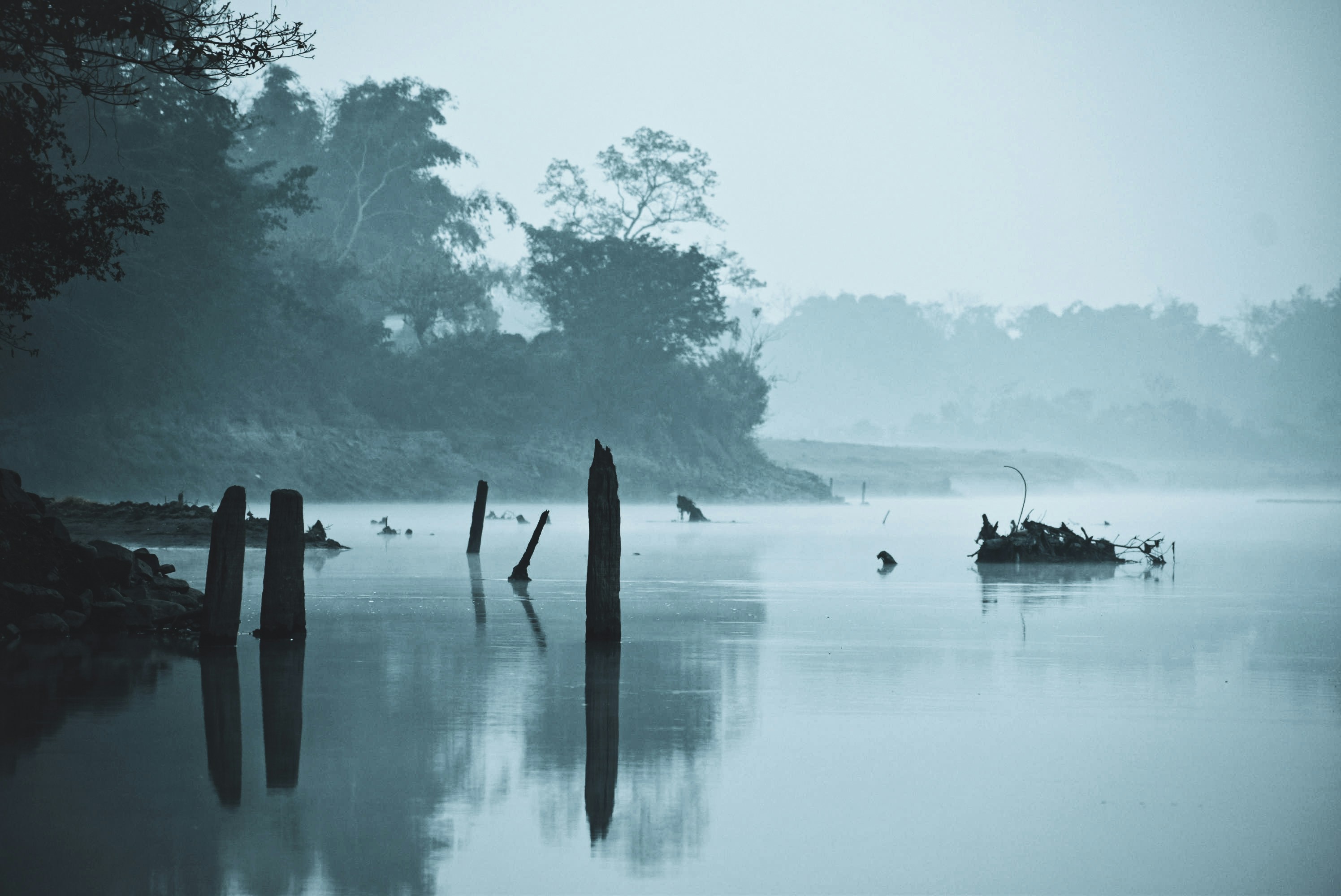 a body of water with trees in the background