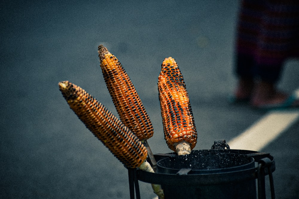three corn on the cob in a trash can