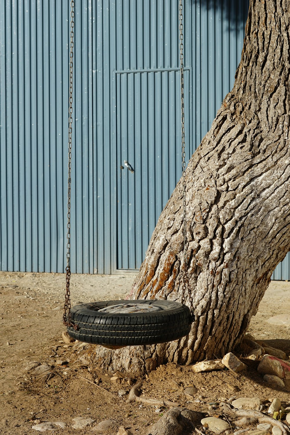 a tire swing attached to a tree trunk