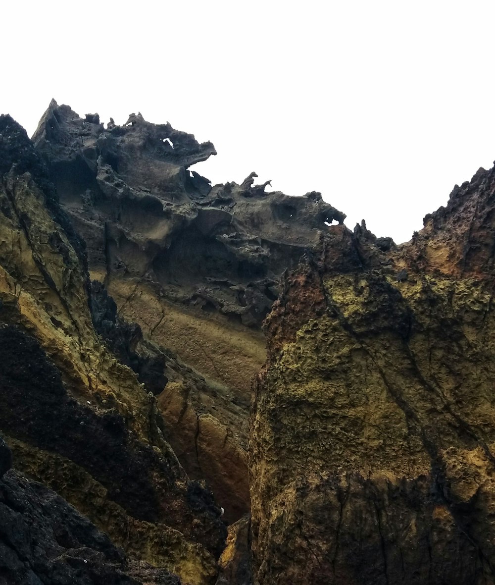 a bird is perched on a rock outcropping