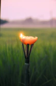 Warm garden party lit by erdvėja’s long-burning outdoor wax torches.