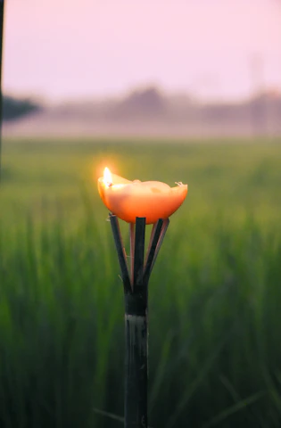 A warm, glowing torch held high against a twilight sky symbolizing hope and unity.