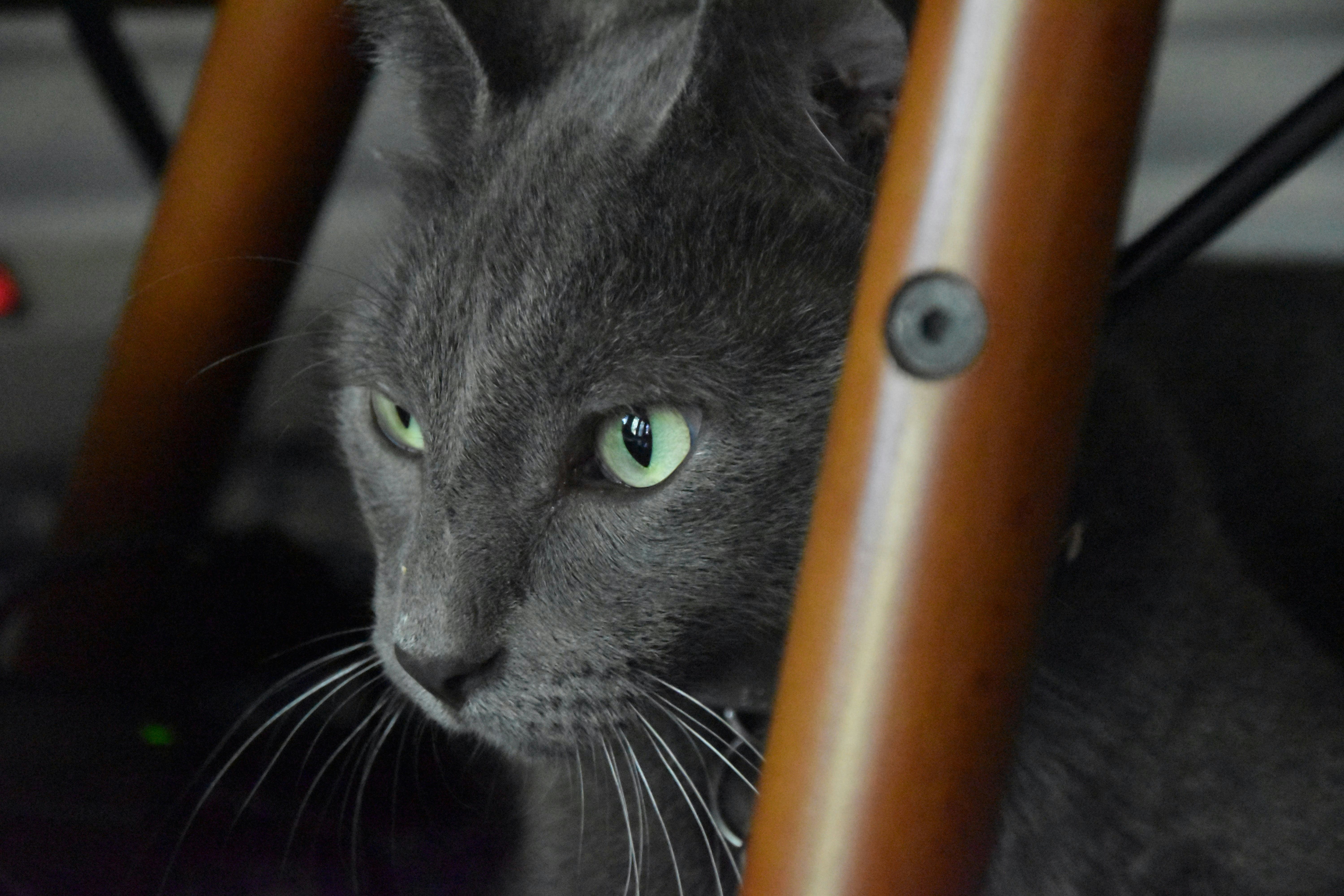 Encouraging Exploration and Curiosity (image credits: unsplash)