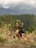 A German Shepherd dog lies contentedly amidst tall grass and wildflowers. In the background, a lush green forest stretches towards misty, cloud-covered mountains.