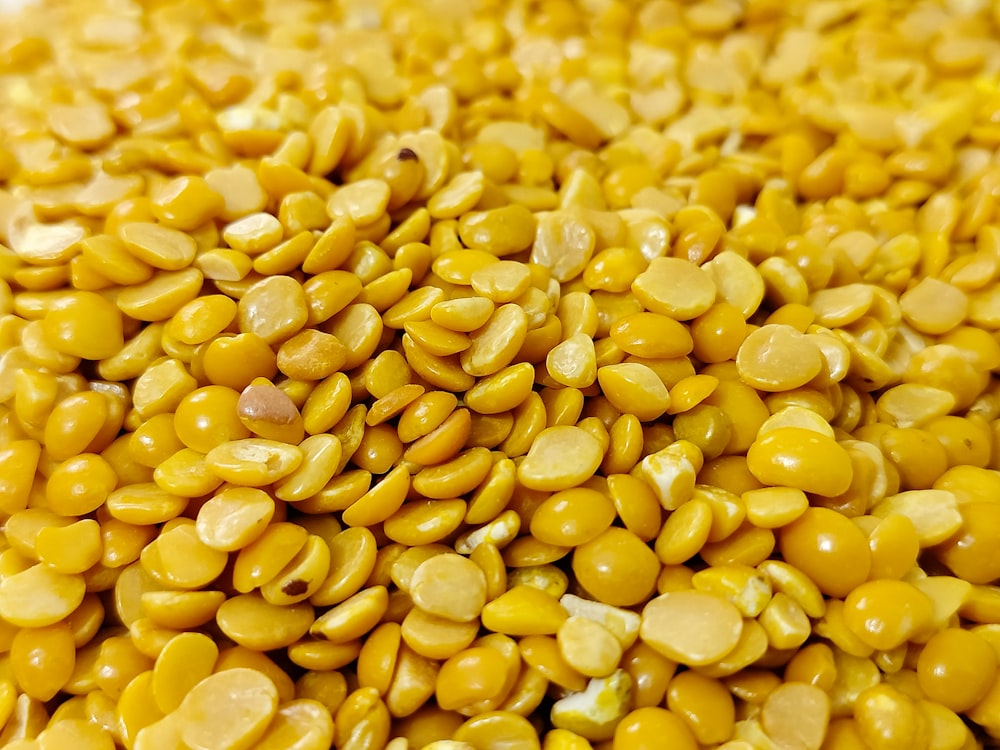 a close up of a pile of yellow corn