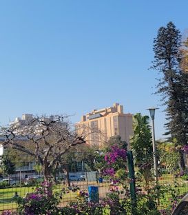 A cityscape featuring a mix of nature and urban elements. A tall building with a modern architectural design dominates the background. In the foreground, vibrant purple flowers grow along a wire fence. A barren tree stands next to lush green foliage and a lamppost, with a clear blue sky overhead.