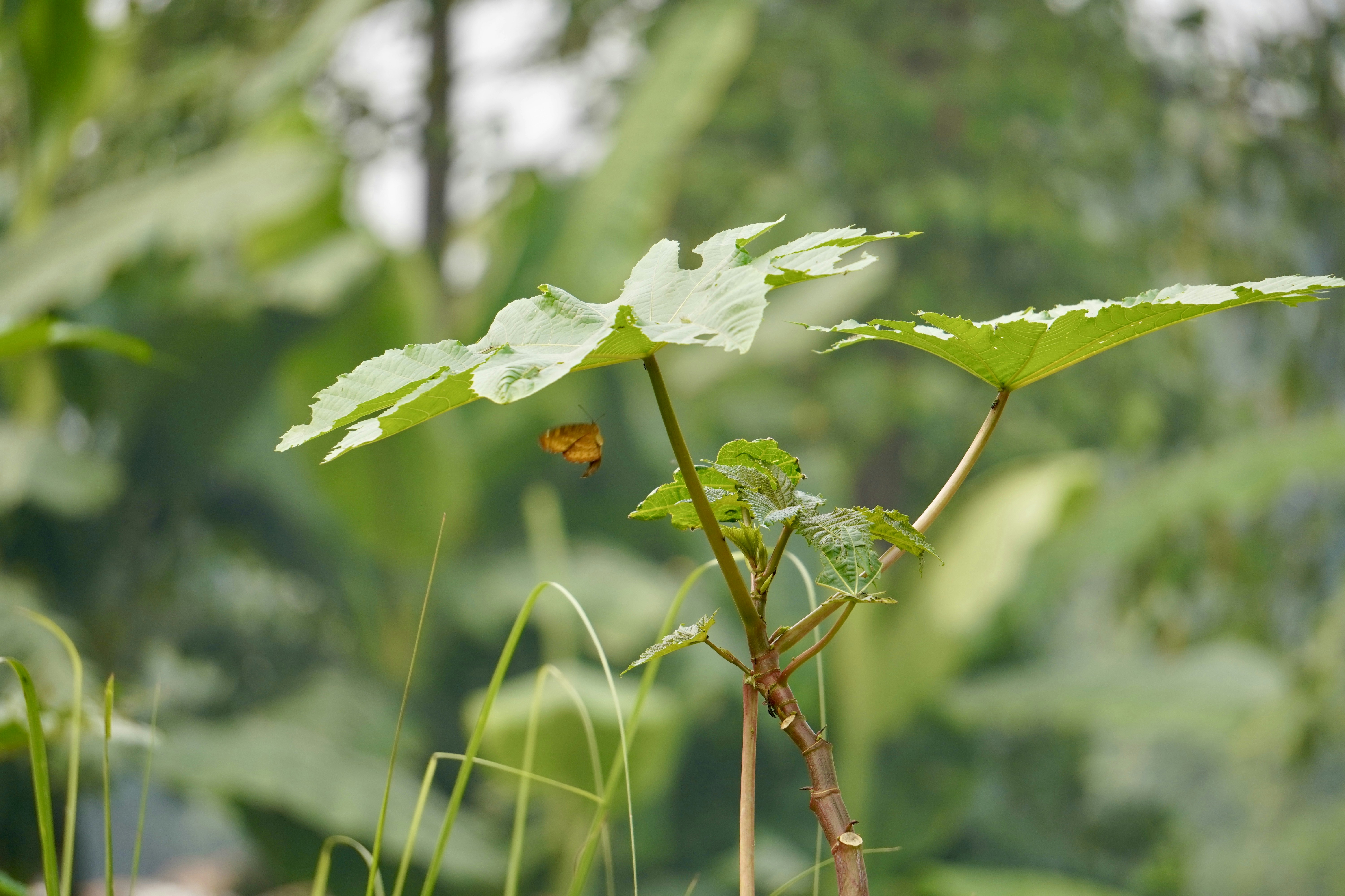 Photo by technorajat24