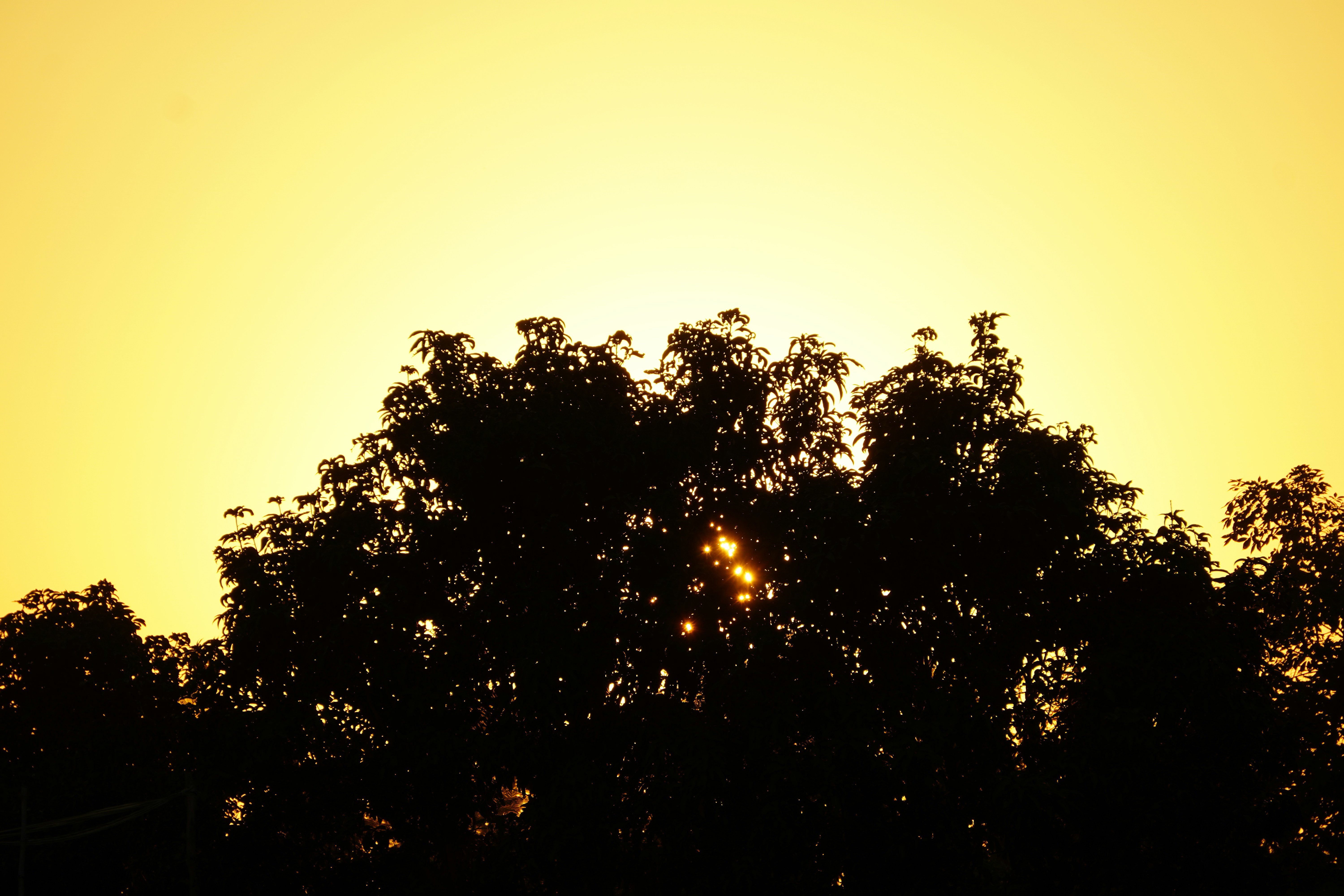 Photo by technorajat24