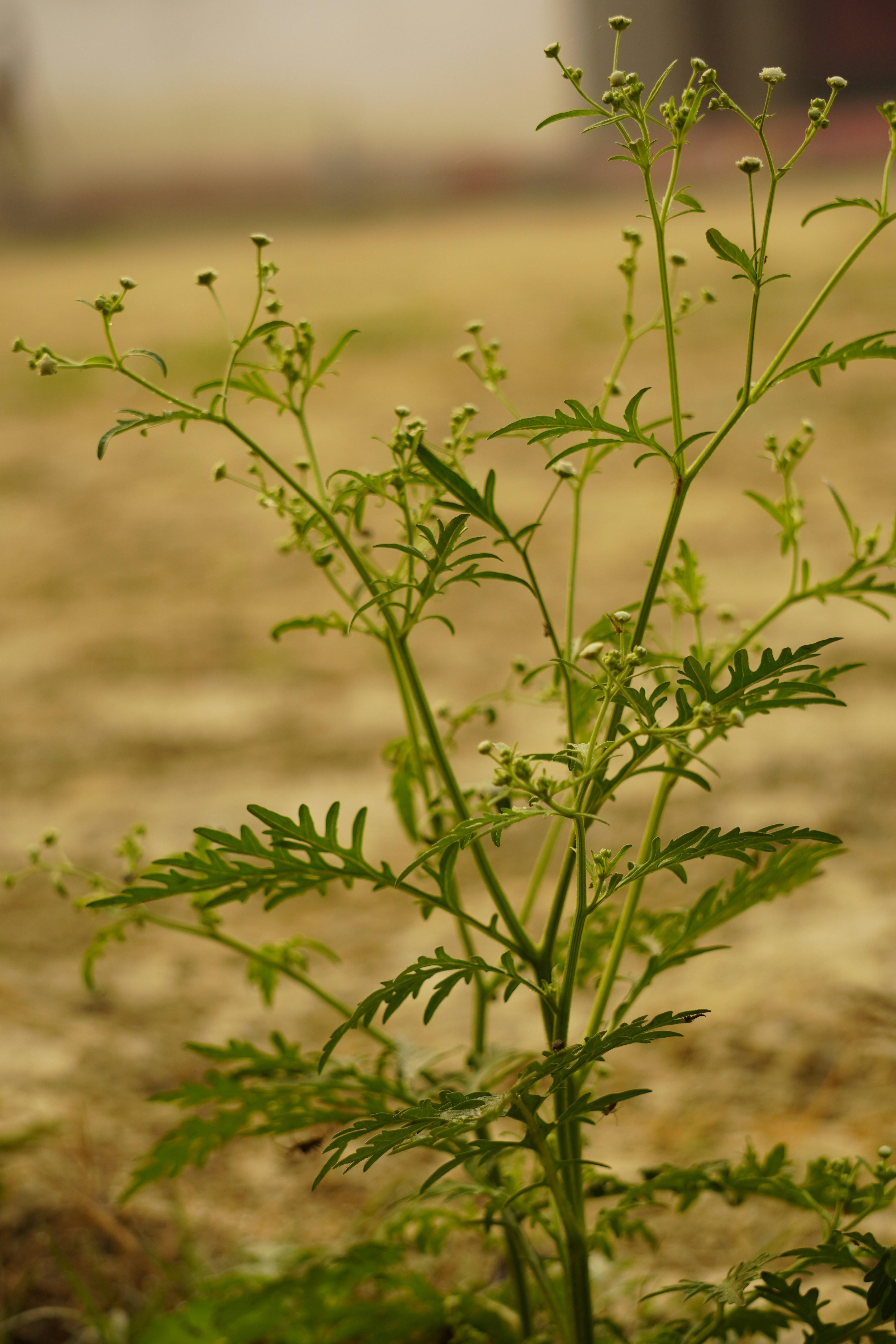 Photo by technorajat24