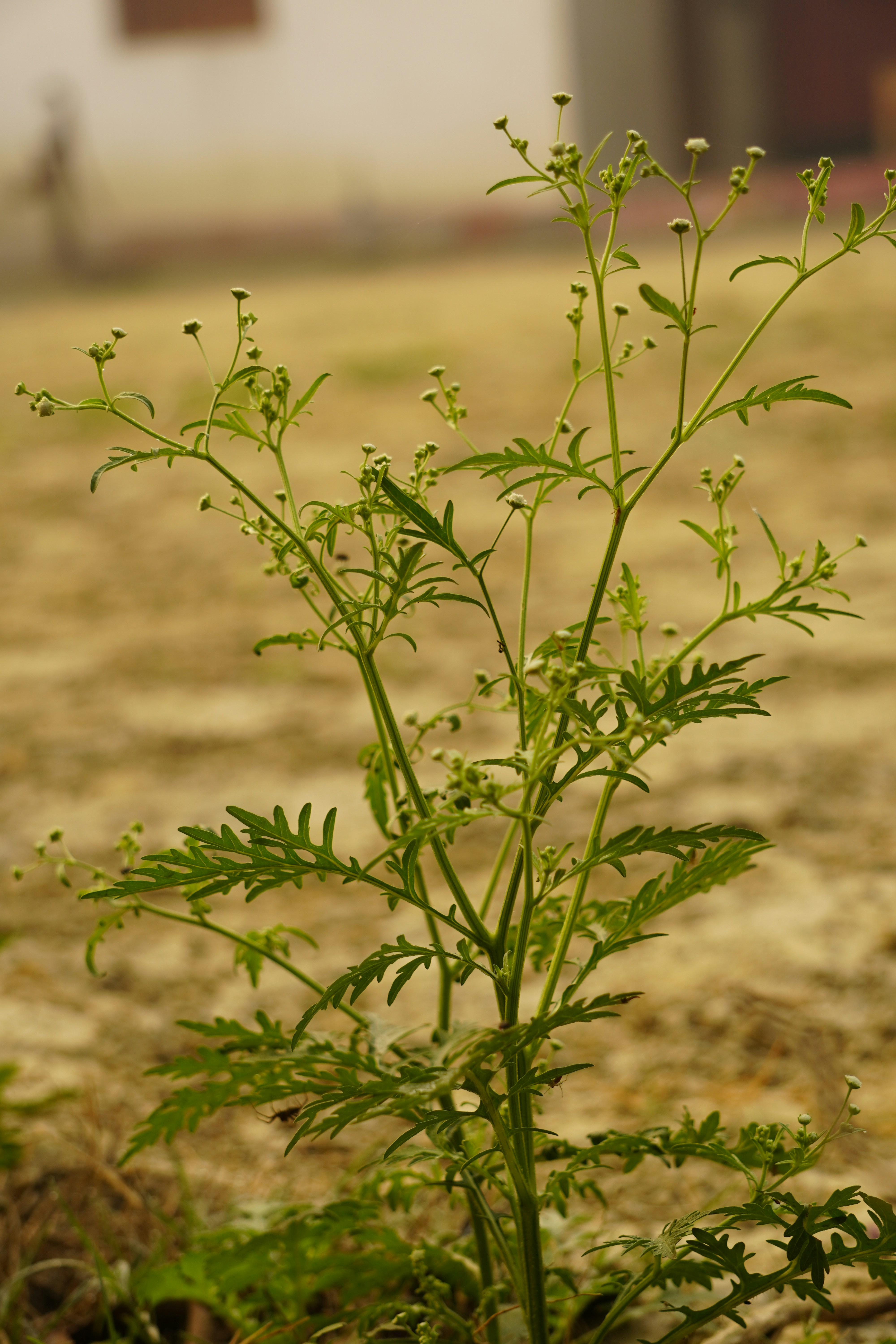 Photo by technorajat24