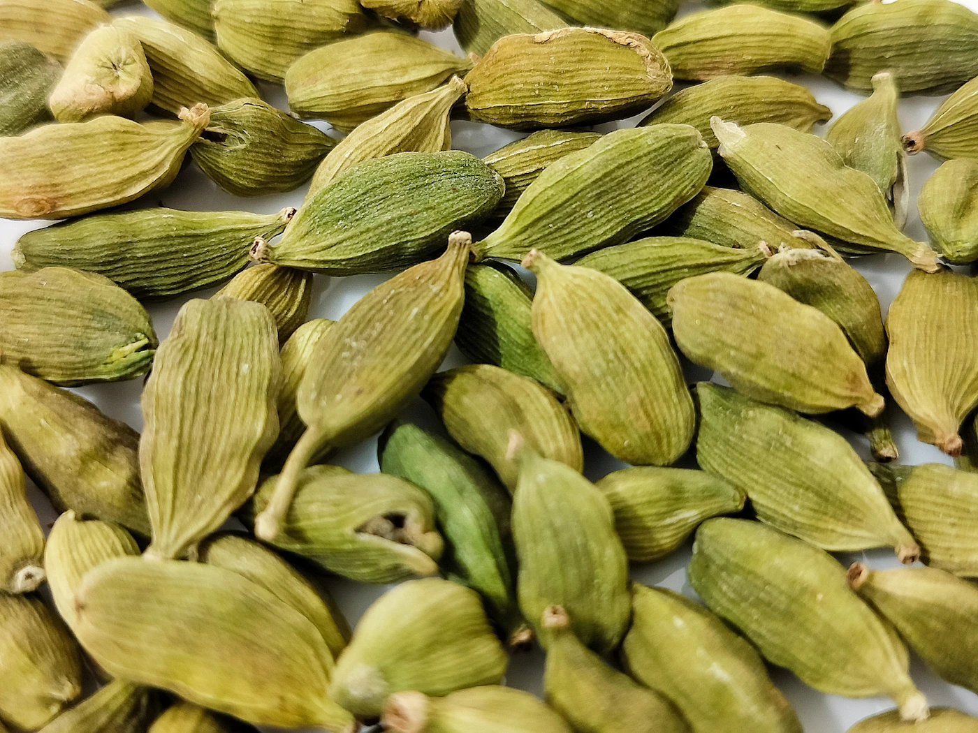 Close-up of green cardamom pods