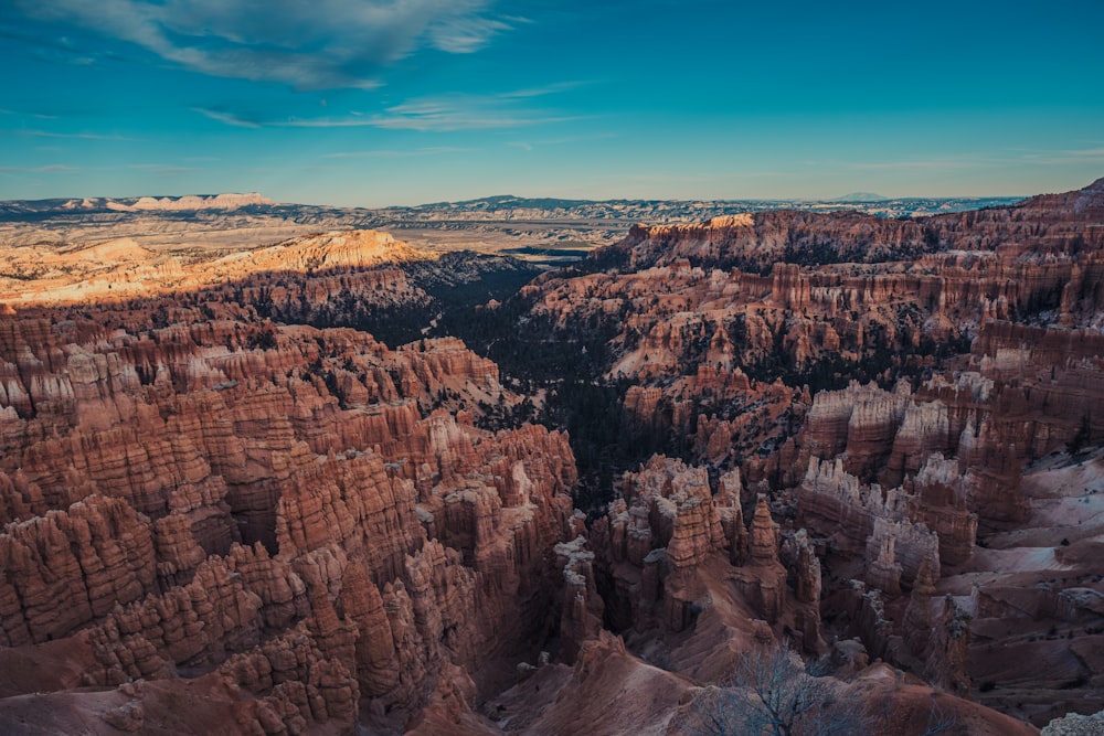 an aerial view of a canyon in the desert