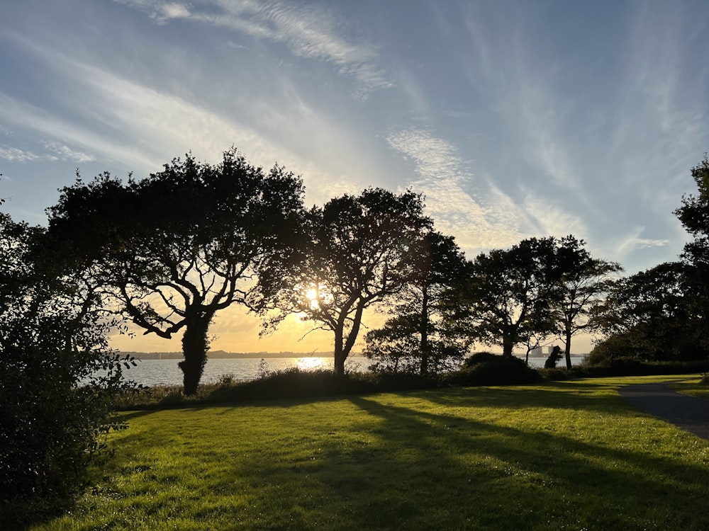 the sun is setting over the water and trees