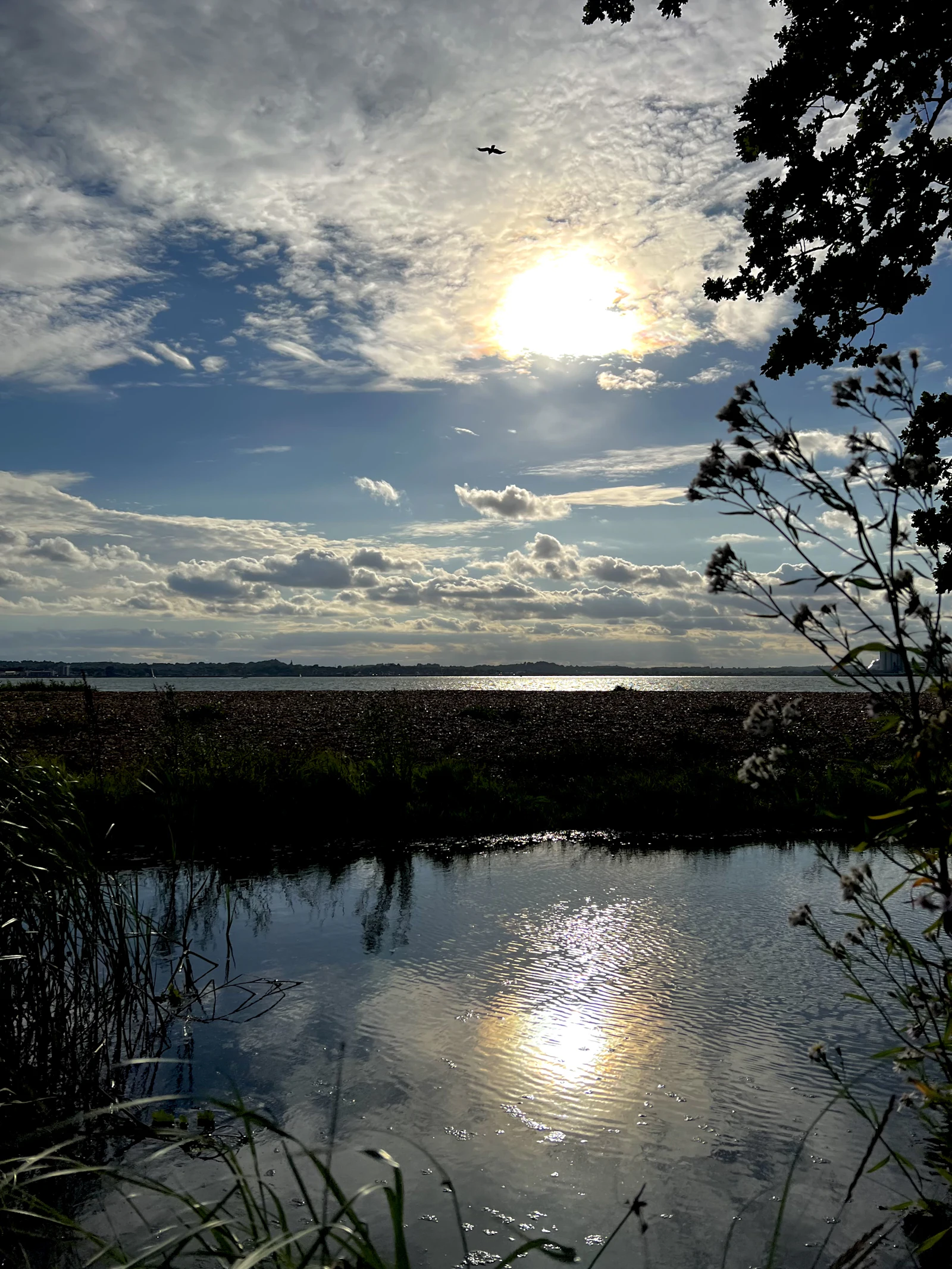 Photo of Southampton