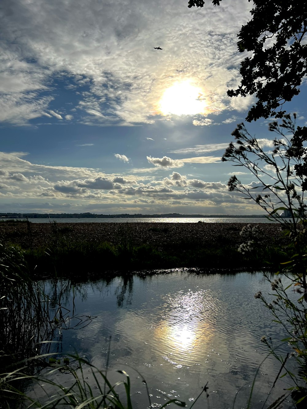 a body of water surrounded by grass and trees