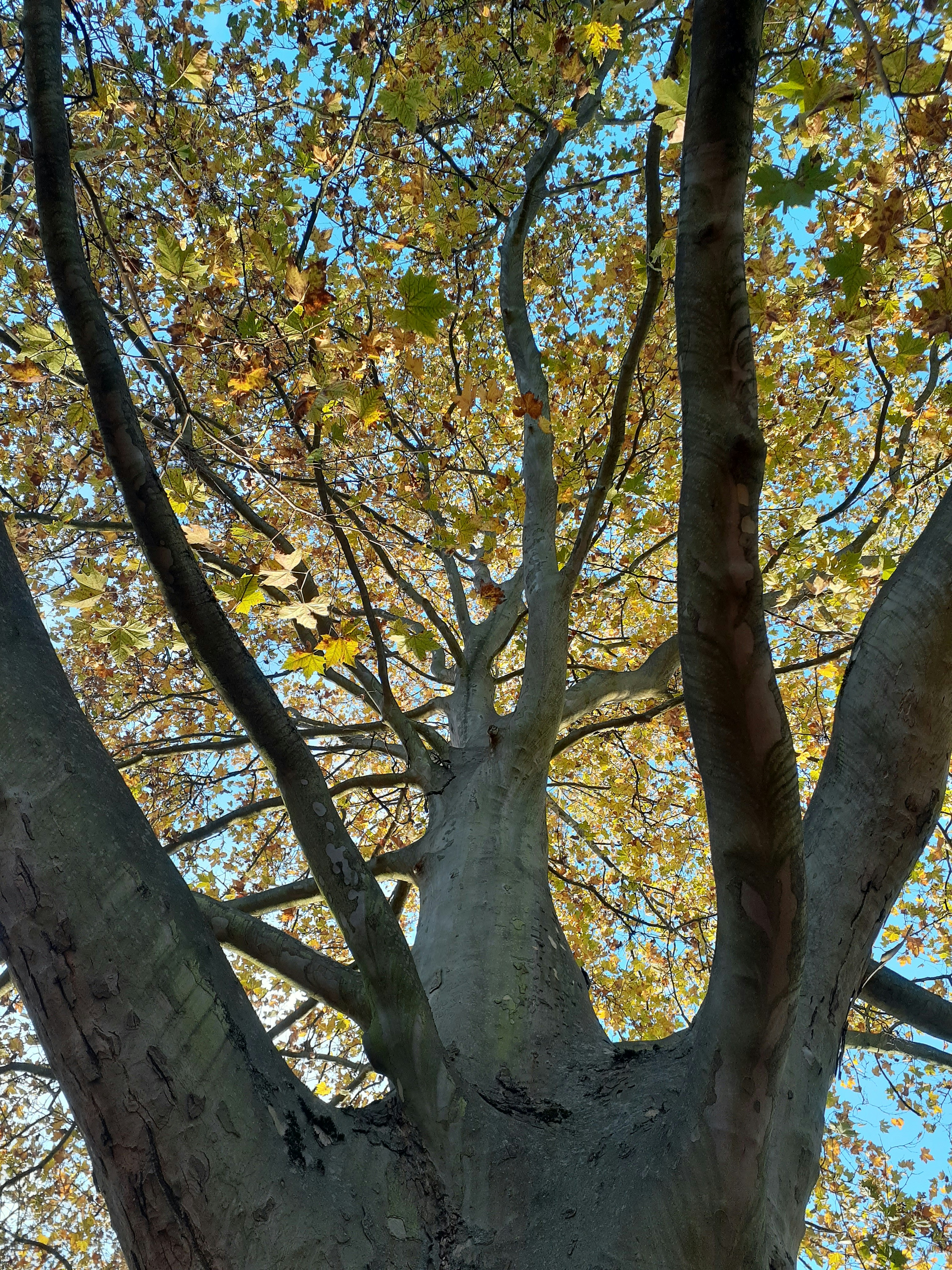 Photo by kenkindaichi