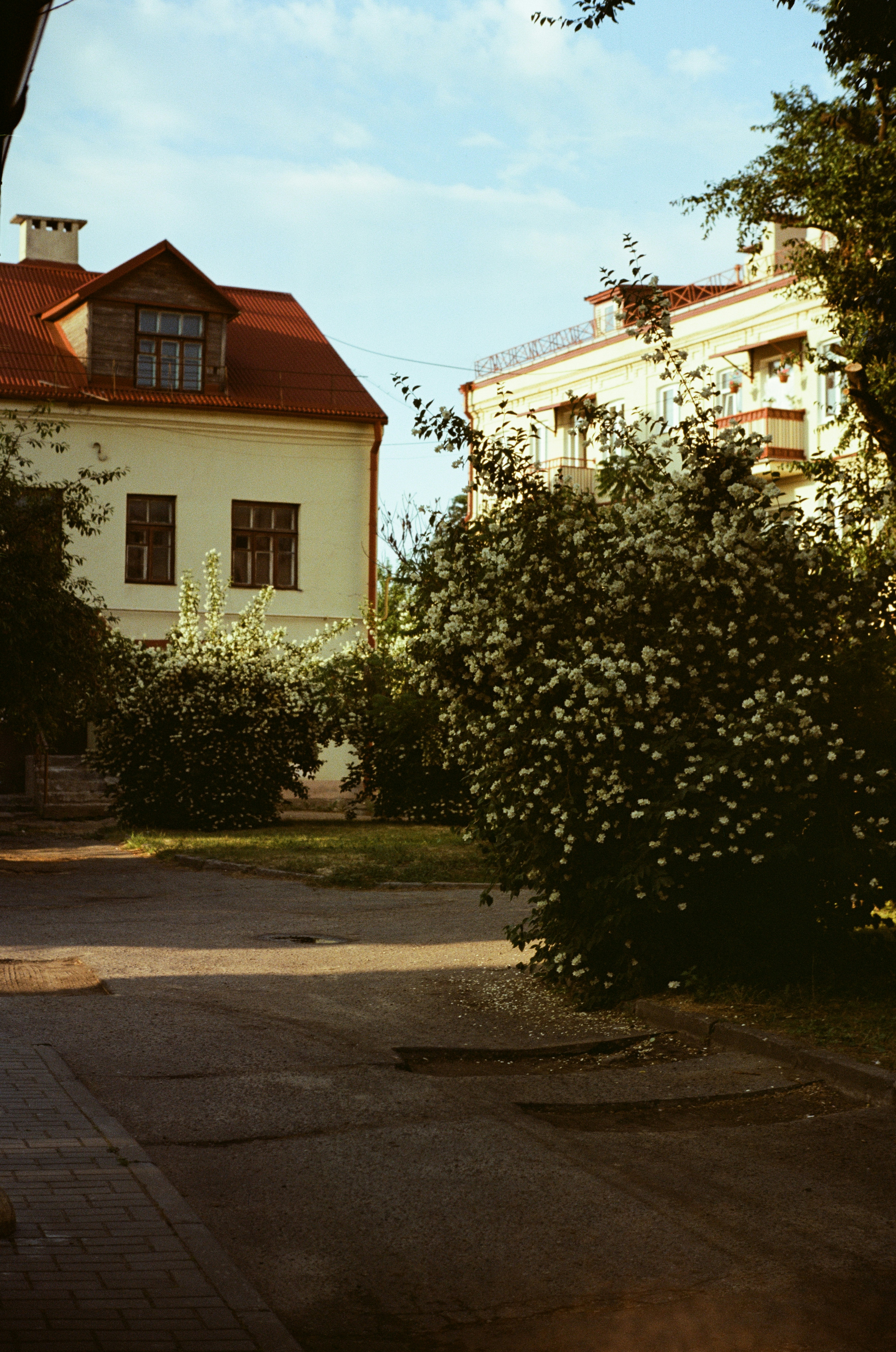a white building with a red roof next to a tree