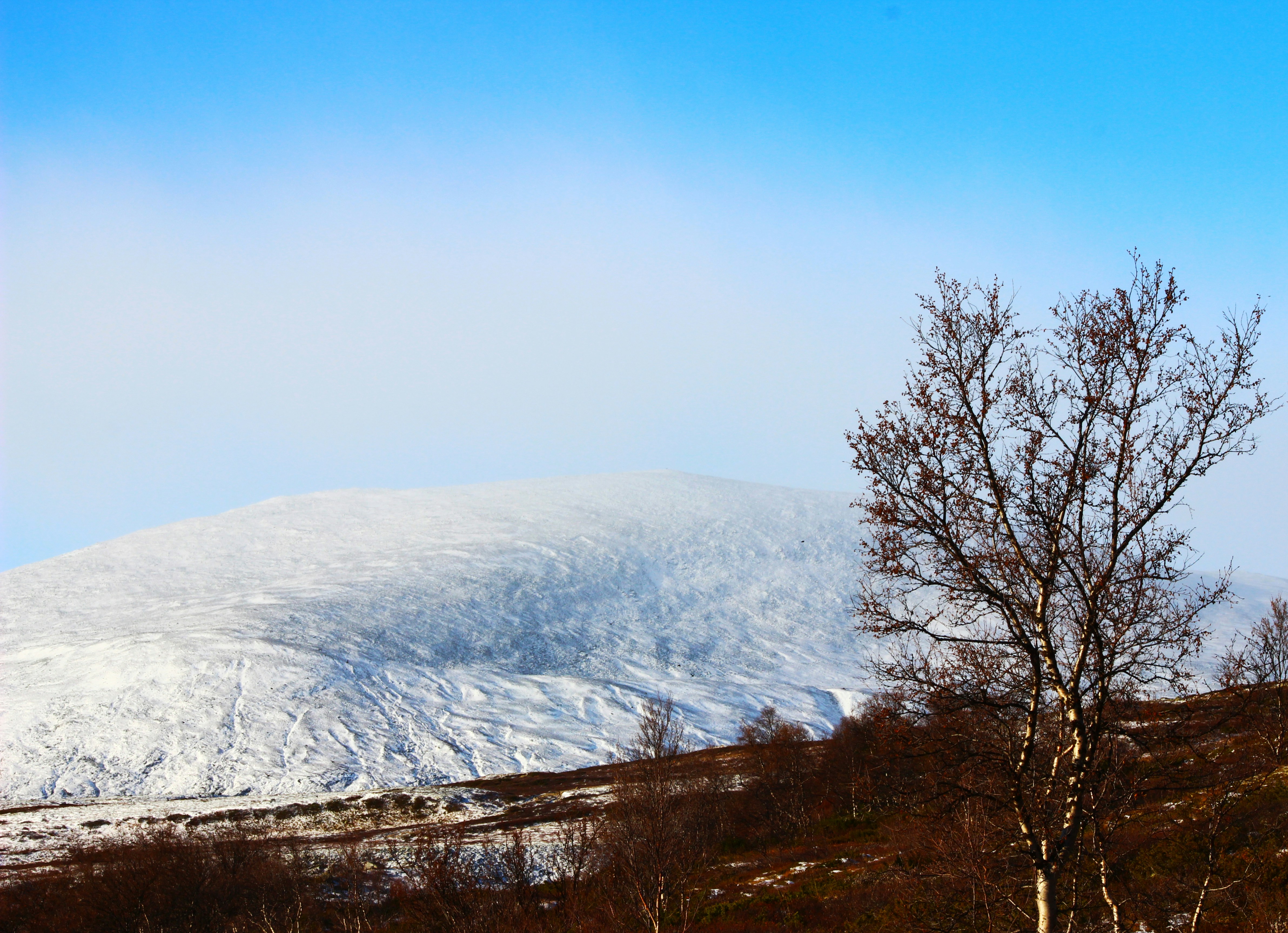 Photo by happy_sad_repeat