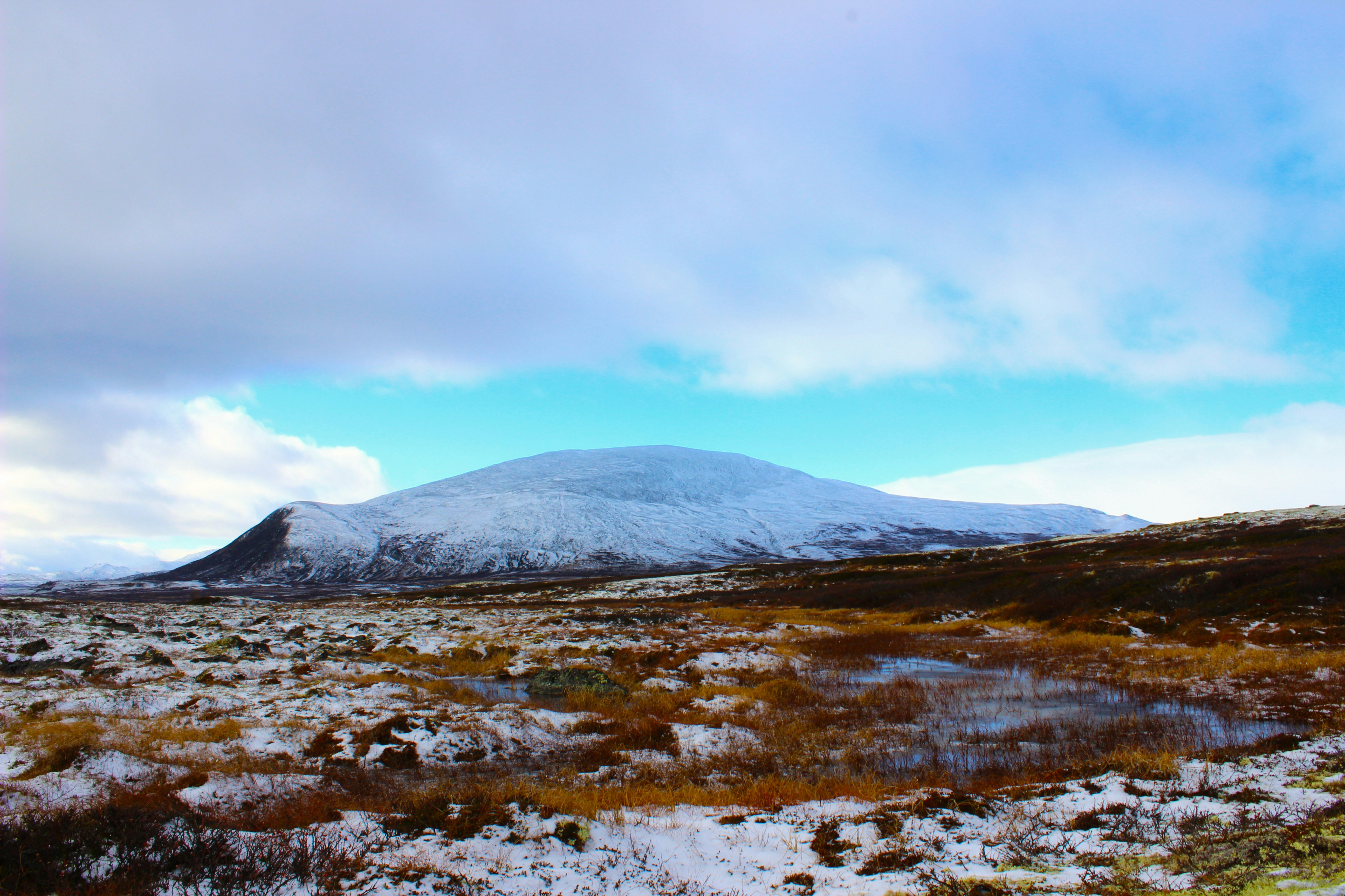 Photo by happy_sad_repeat