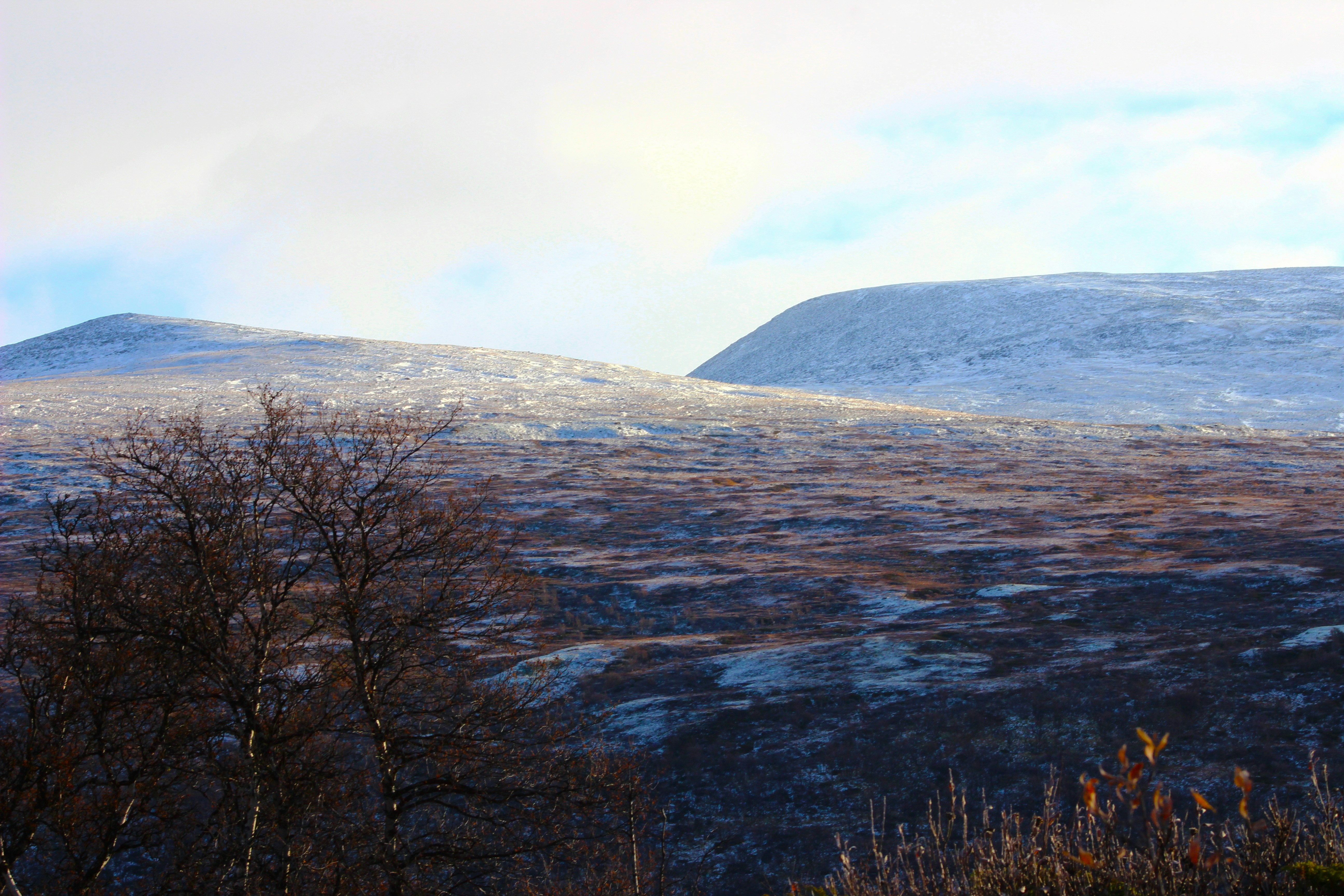 Photo by happy_sad_repeat