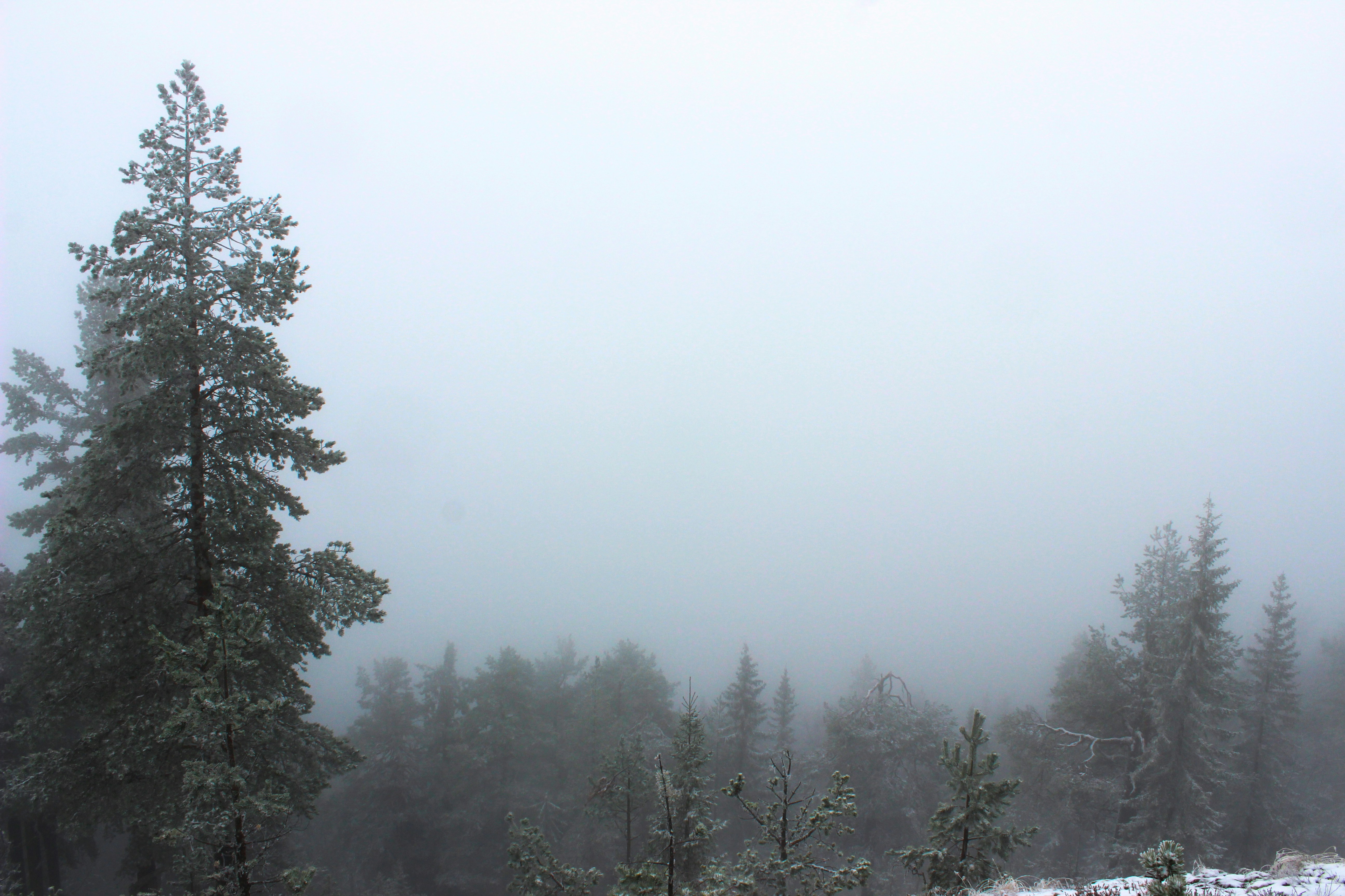 Photo by happy_sad_repeat