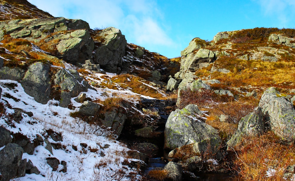 a rocky hillside covered in snow and grass